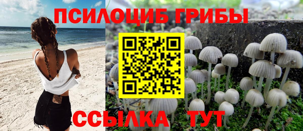 Городец  наркотики  Вход с VPN  Псилоцибиновые грибы Cubensis 